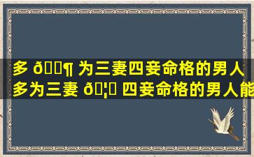 多 🐶 为三妻四妾命格的男人「多为三妻 🦄 四妾命格的男人能嫁吗」